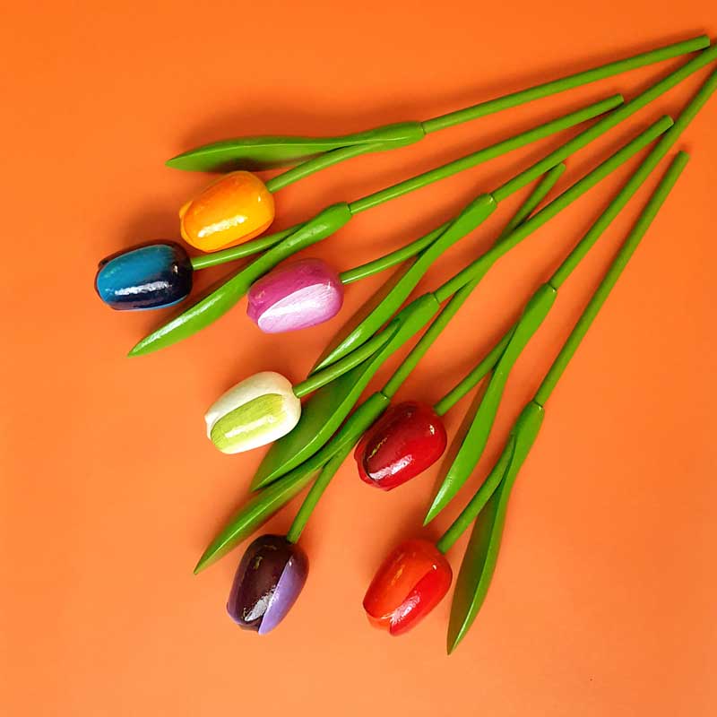 Фотофон цветной VN-BWC-004