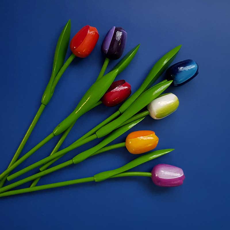 Фотофон цветной VN-BWC-004