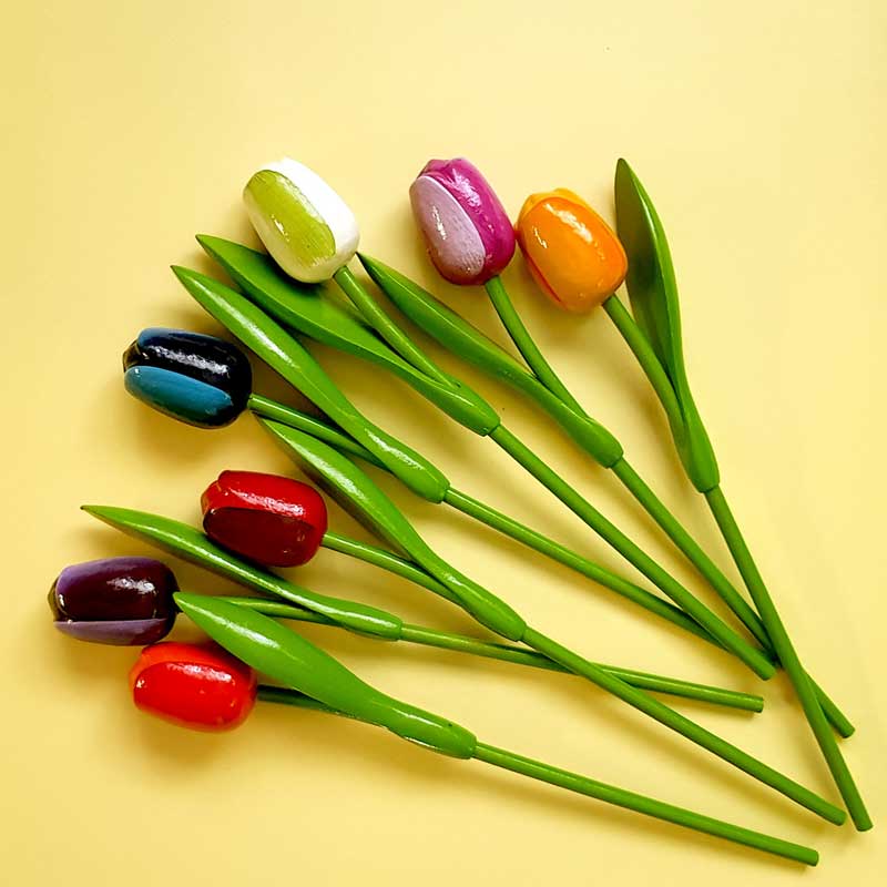 Фотофон цветной VN-BWC-004