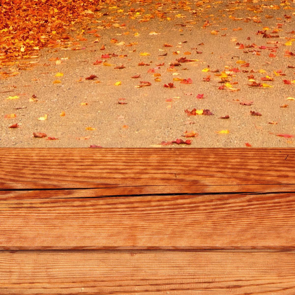 Фотофон VN-SP-176