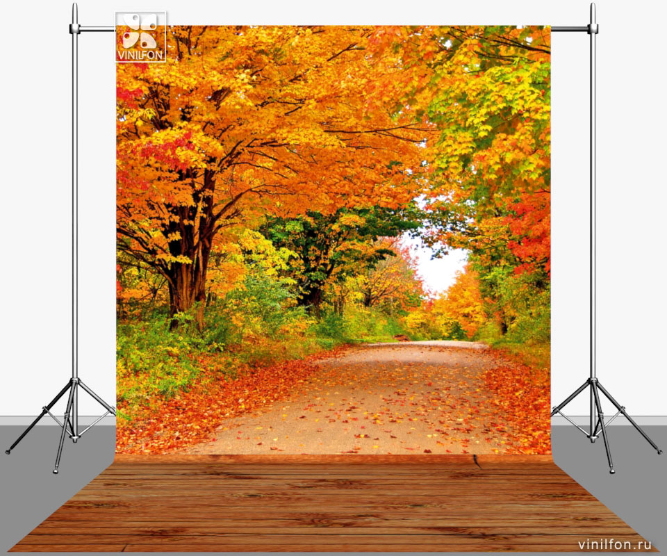 Фотофон VN-SP-176