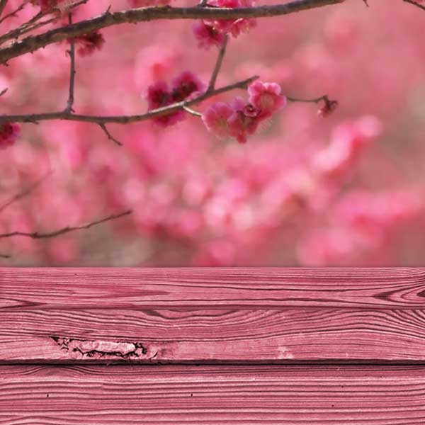 Фотофон VN-SP-181